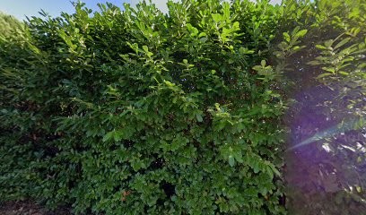 SOINS INFIRMIERS Albi Puygouzon, Cabinet Infirmier à Puygouzon