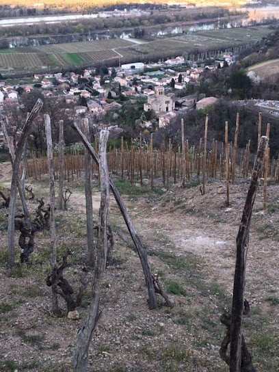 Palisse Emmanuel, Cabinet Infirmier à Vion