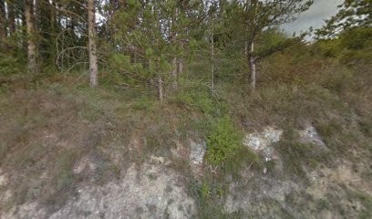 Salvayre Catherine, Cabinet Infirmier à Mirabel-et-Blacons