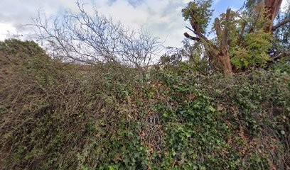 Tonon Dominique, Cabinet Infirmier à Cabestany