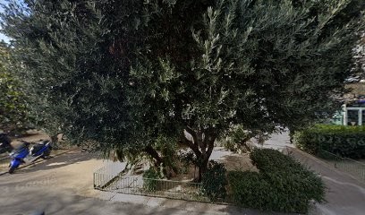 Plamondon Martin Paule, Cabinet Infirmier à Marseille 08