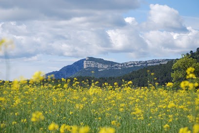 Cabinet Infirmier Bouly - Sanchez, Cabinet Infirmier à Lauret