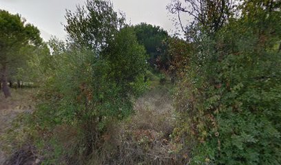 Lemaire Manoëlle, Cabinet Infirmier à Calvi