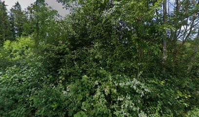 GIRAUX Josselin, Cabinet Infirmier à Bouzonville
