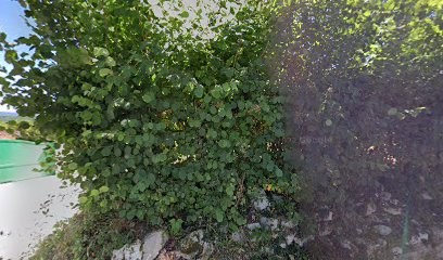 Rynois Jocelyne, Cabinet Infirmier à Neuville-sur-Ain