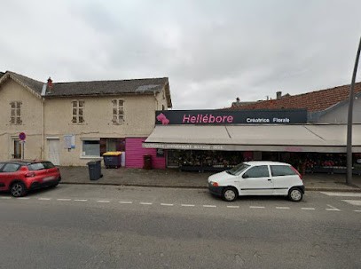 GUESMIA CÉLINE, Cabinet Infirmier à Pau