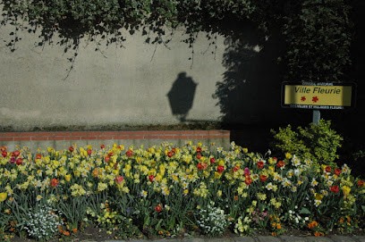 Virginie Queralt Grapotte - Infirmière Ladon (Loiret, 45), Cabinet Infirmier à Ladon