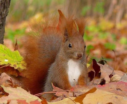 Vitry Maud et Selbonne Sylvie ( Collaboratrice), Cabinet Infirmier à Vaucresson