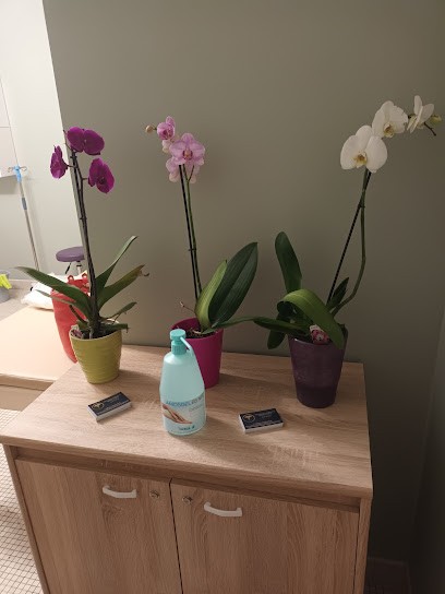 Marie-Pierre SANSONNET, CABINET INFIRMIER A DOMICILE 7j/7 Saint-Junien Et Alentours, Cabinet Infirmier à Saint-Junien