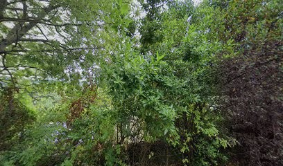 Cabinet Infirmier Du Lodevois (Mathieu - Khettab), Cabinet Infirmier à Lodève