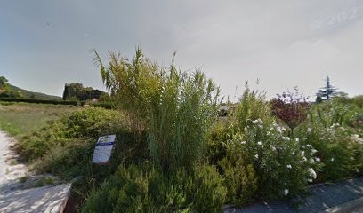 Cecile Ritondale, Cabinet Infirmier à Puget-Ville