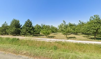 CHAZALET LESTRAT NEANT, Cabinet Infirmier à Montoison