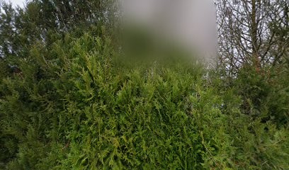 Julo Guillon Catherine, Cabinet Infirmier à Villedieu-sur-Indre