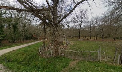 Philippe cecile, Cabinet Infirmier à Listrac-Médoc