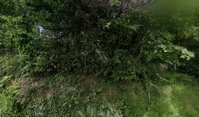 Michelet Viviane, Cabinet Infirmier au Trévoux