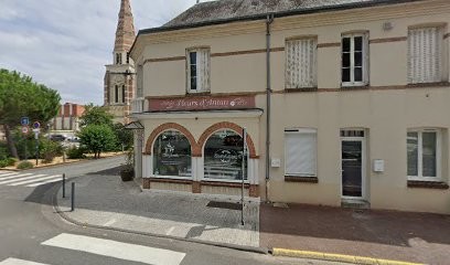 Paul Patrice Alain, Cabinet Infirmier à Lamotte-Beuvron