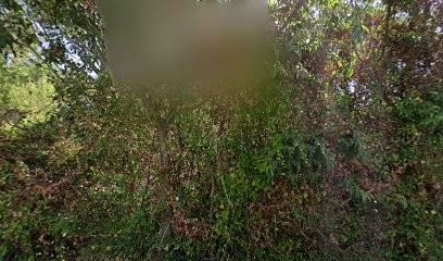 Sax Françoise, Cabinet Infirmier à Nîmes