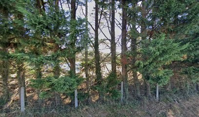 FALEMPIN Adeline infirmière, Cabinet Infirmier à Saint-Vincent-de-Tyrosse