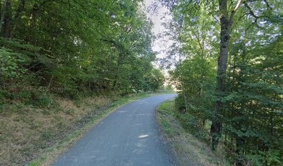 Bigarnet Patrick, Cabinet Infirmier à Saint-Cyr-de-Valorges