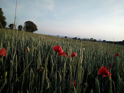 Cabinet infirmier COUVERT-MARCHAND Céline, Cabinet Infirmier à Sartilly-Baie-Bocage