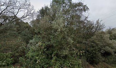 Leblanc Dominique, Cabinet Infirmier à Saint-Privat-des-Vieux