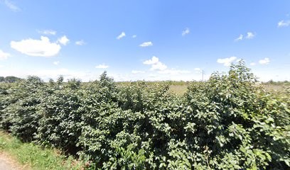 Pietrasanta Patricia, Cabinet Infirmier à Saint-Gilles