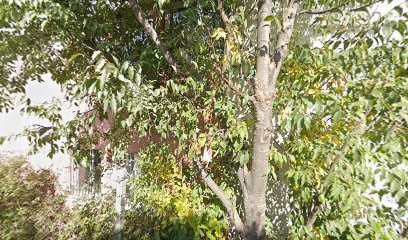 Boutié Alexandra, Cabinet Infirmier à Saint-Maximin-la-Sainte-Baume