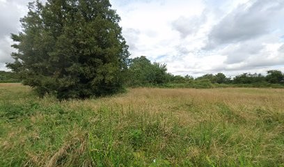 Leseignoux Pascale, Cabinet Infirmier à Chémery