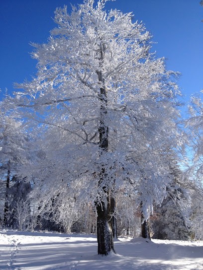 Cabinet infirmier Ravon-Viallard Catherine, Cabinet Infirmier à Saint-Genest-Malifaux