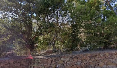 Annie DRIZI, Cabinet Infirmier à Lecci