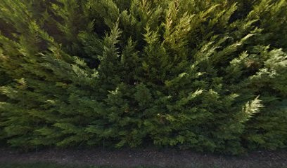 SELARL LE CHAMP DU LAC, Cabinet Infirmier à Sers