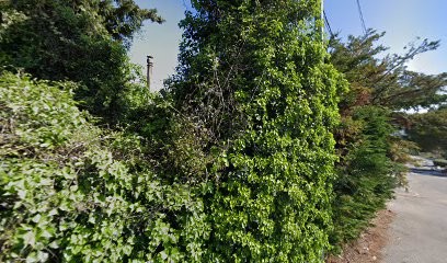 Lebeau Nicole, Cabinet Infirmier à Villeneuve-Loubet