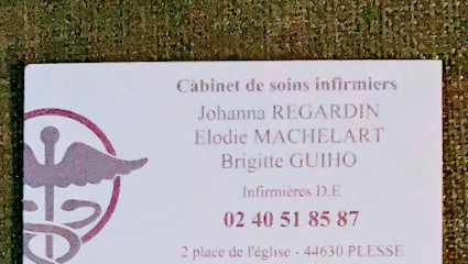 Infirmière Guiho Brigitte, Cabinet Infirmier à Plessé