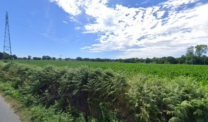 Corlouër Le Maire Le Gall Bouchery SCP, Cabinet Infirmier à Langoat