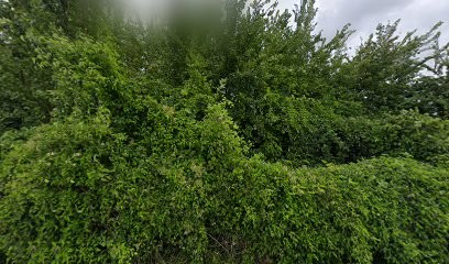 Prevot Celine, Cabinet Infirmier à Blesmes