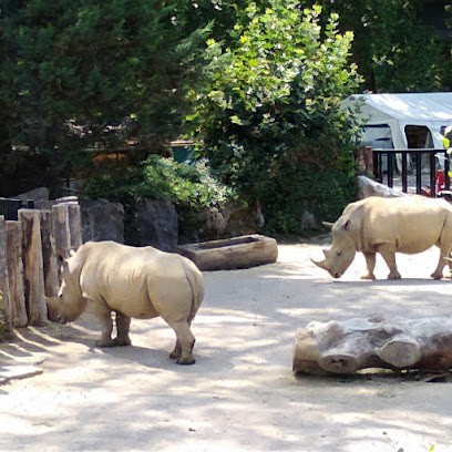 Bethegnies Emilie, Cabinet Infirmier à Solesmes