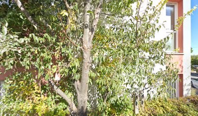 Vazquez Véronique, Cabinet Infirmier à Saint-Maximin-la-Sainte-Baume