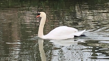 Rink Laetitia Et Sabrina | Cabinet Infirmier à Domicile Bischheim, Cabinet Infirmier à Bischheim