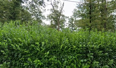 Dehoux Jean-Damien, Cabinet Infirmier à La Séguinière