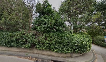 Virginie Masia - Infirmière à Domicile à Marseille 8ème, Cabinet Infirmier à Marseille 09