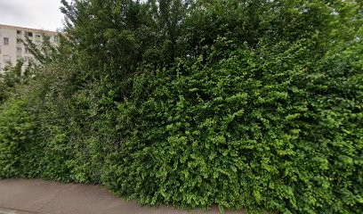 Sauvagnac Cyril, Cabinet Infirmier à Limoges