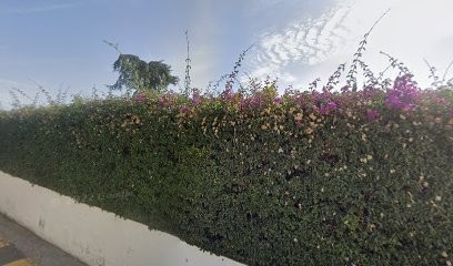 Bru Pinatel Henriette, Cabinet Infirmier à Roquebrune-Cap-Martin