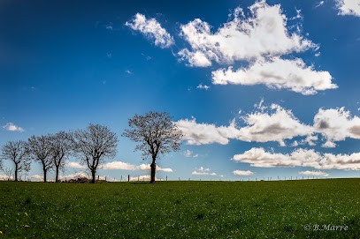 Claire MARRE Infirmière, Cabinet Infirmier à Calvinet