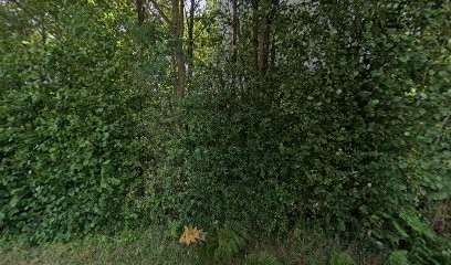 Chataignier Marielle, Cabinet Infirmier à Malicorne-sur-Sarthe