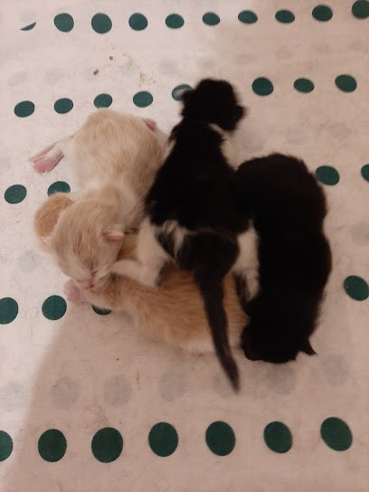 Fraysse Christine, Cabinet Infirmier à Sorgues