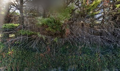 Berteloot Isabelle, Cabinet Infirmier à Privas