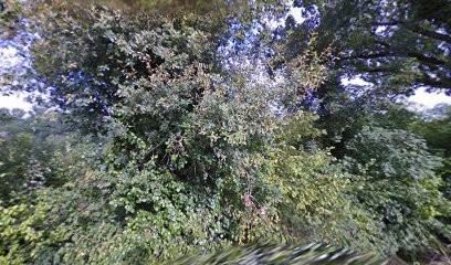 Infirmiere Paillet Lestiac - Cabinet Infirmier, Cabinet Infirmier à Langoiran