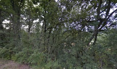 Bories Monique, Cabinet Infirmier à Albi