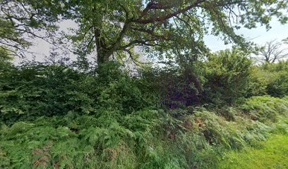 Lefaure-Jeannot Nadine, Cabinet Infirmier à Saint-Sébastien