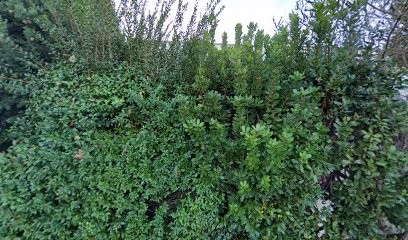 Savary Emilie, Cabinet Infirmier à Montpellier